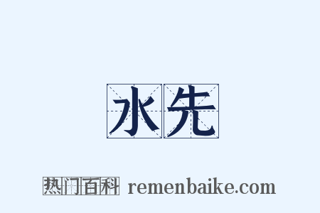 水先是什么意思的图片